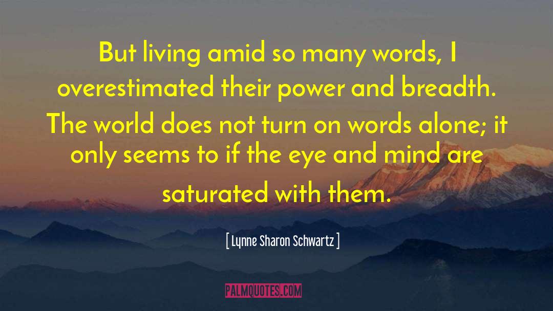 Choatic Eye quotes by Lynne Sharon Schwartz