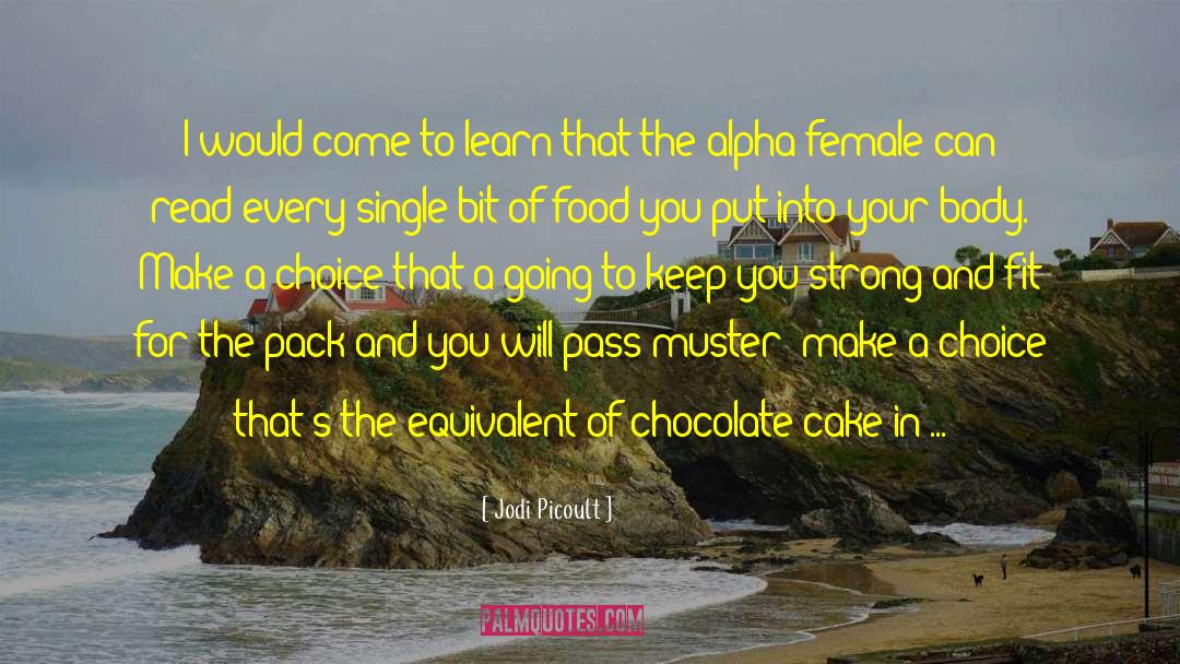 Chocolate Cake quotes by Jodi Picoult