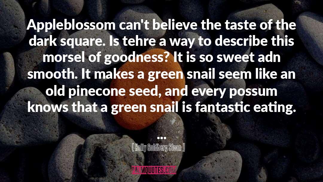 Chocolate Pinterest quotes by Holly Goldberg Sloan