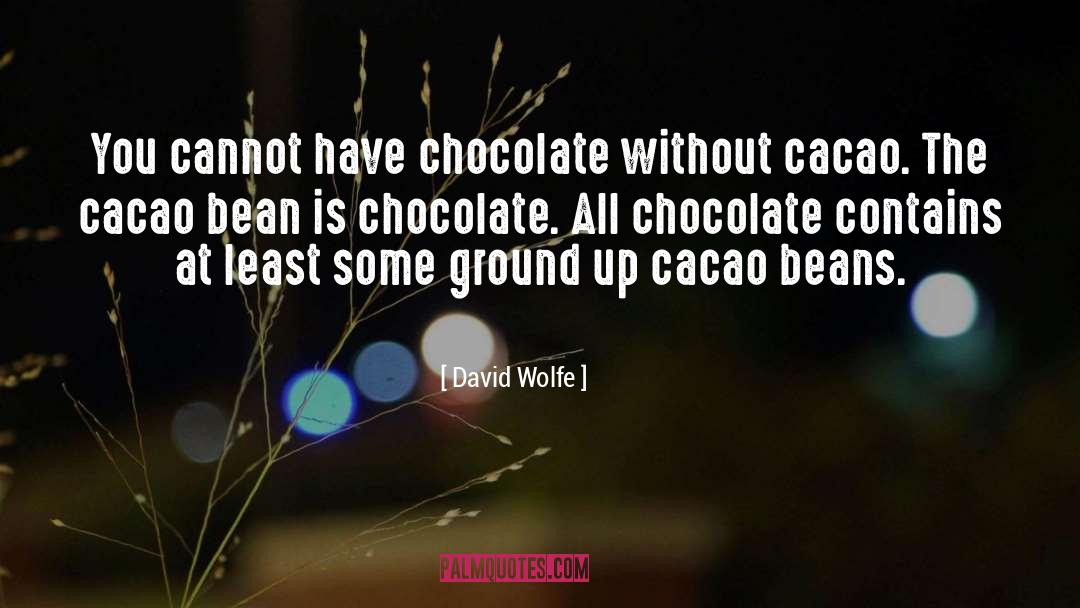 Chocolate quotes by David Wolfe