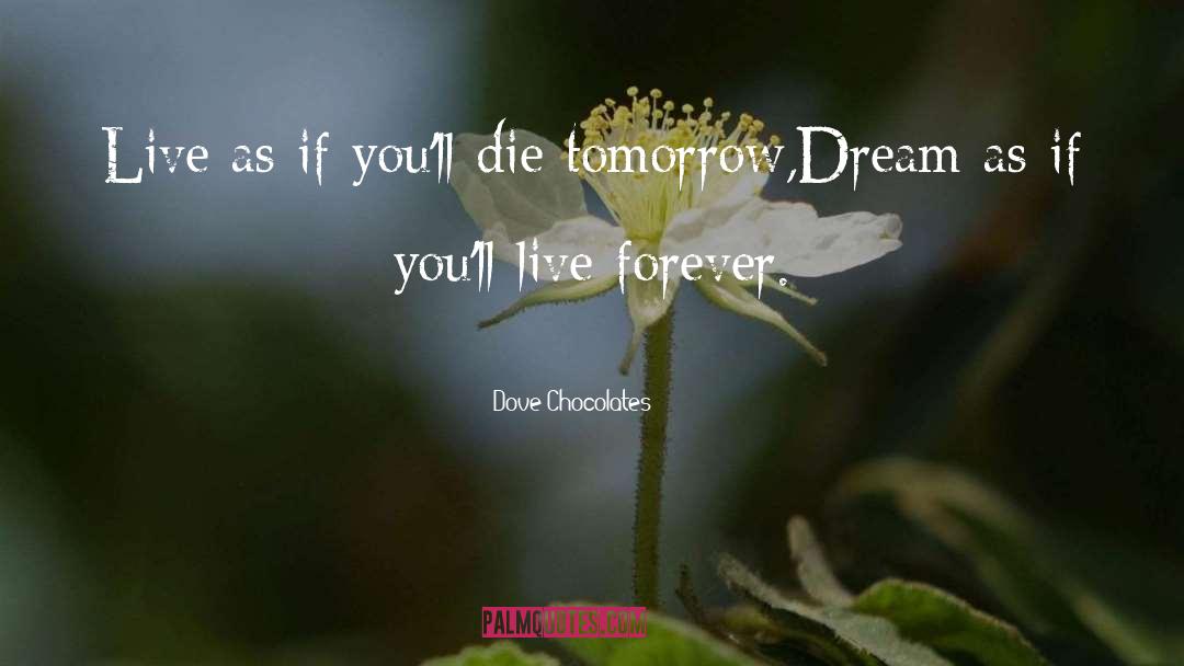 Chocolates quotes by Dove Chocolates