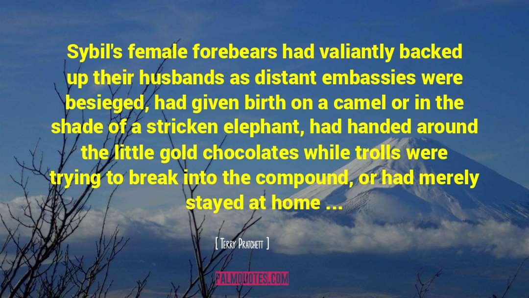 Chocolates quotes by Terry Pratchett