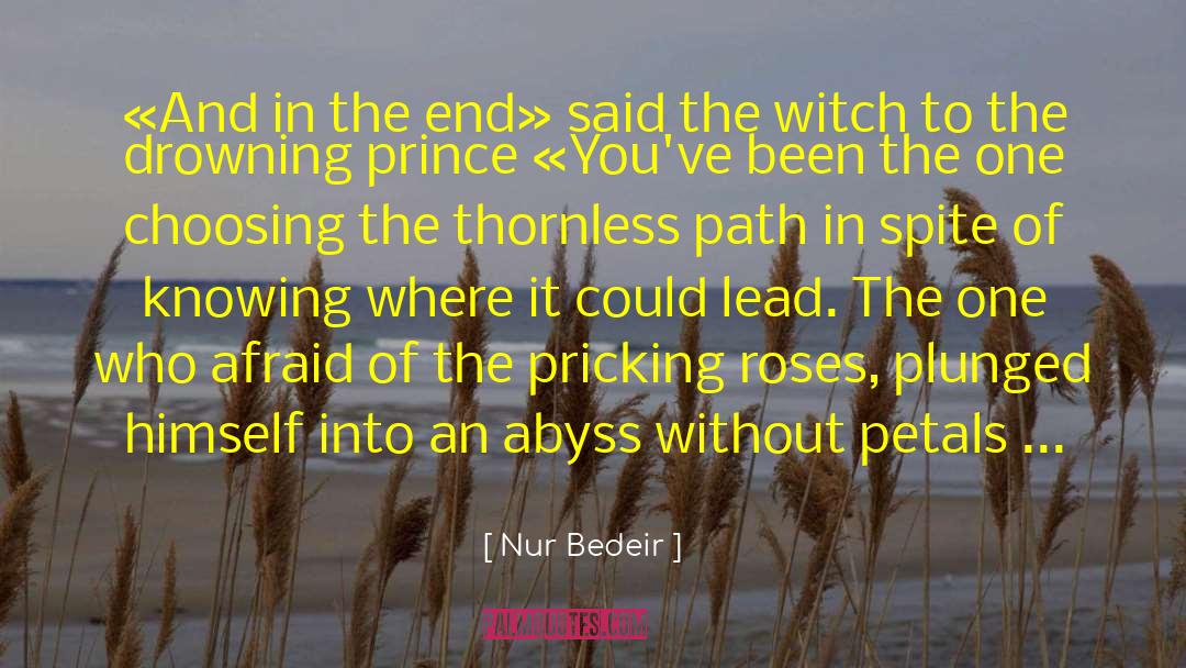 Choice Choices quotes by Nur Bedeir