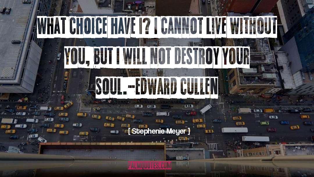 Choice quotes by Stephenie Meyer