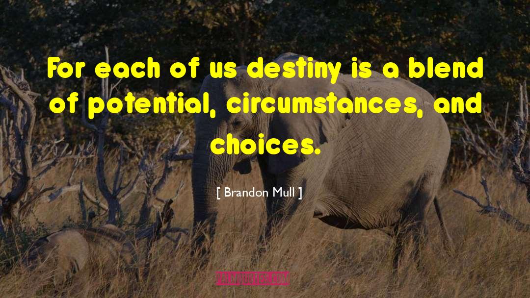 Choices And Decisions quotes by Brandon Mull