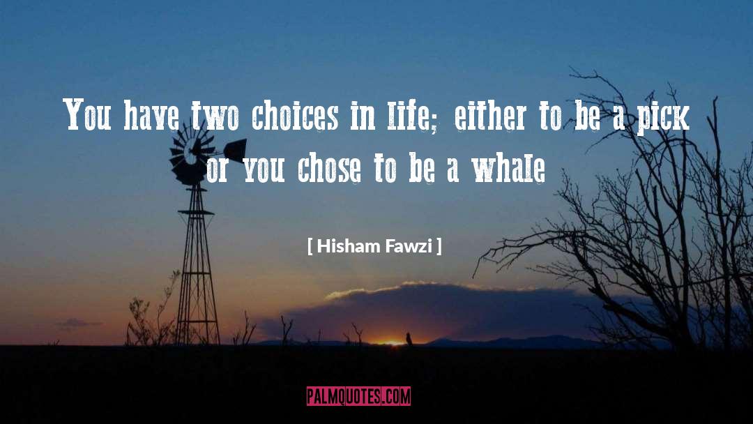 Choices In Life quotes by Hisham Fawzi