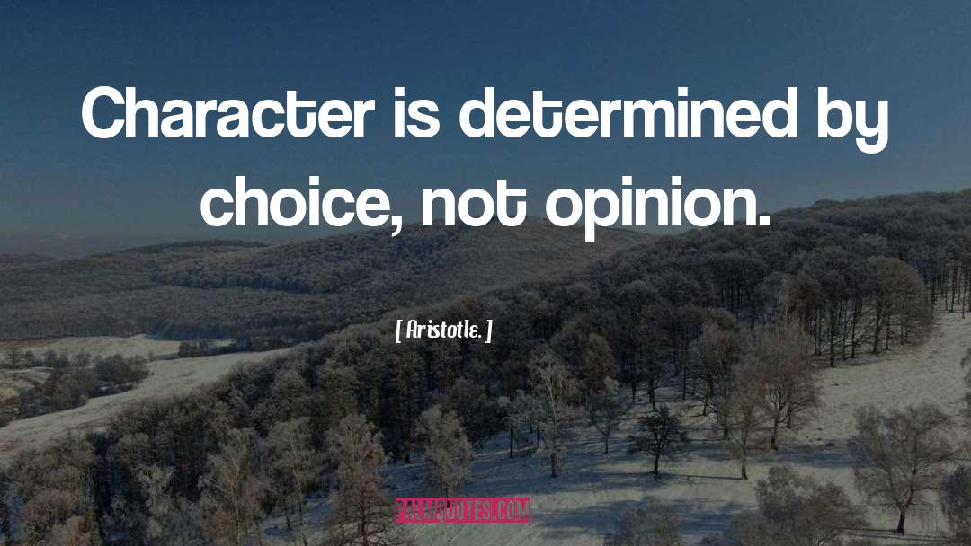 Choices Power quotes by Aristotle.