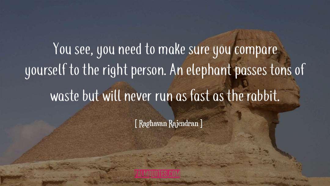 Chokchai Elephant quotes by Raghavan Rajendran