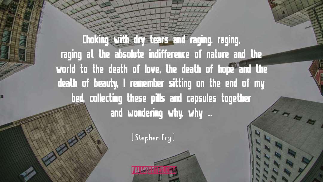 Choking quotes by Stephen Fry