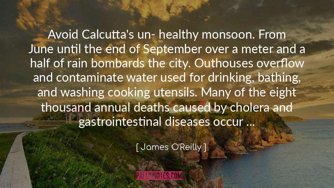 Cholera quotes by James O'Reilly