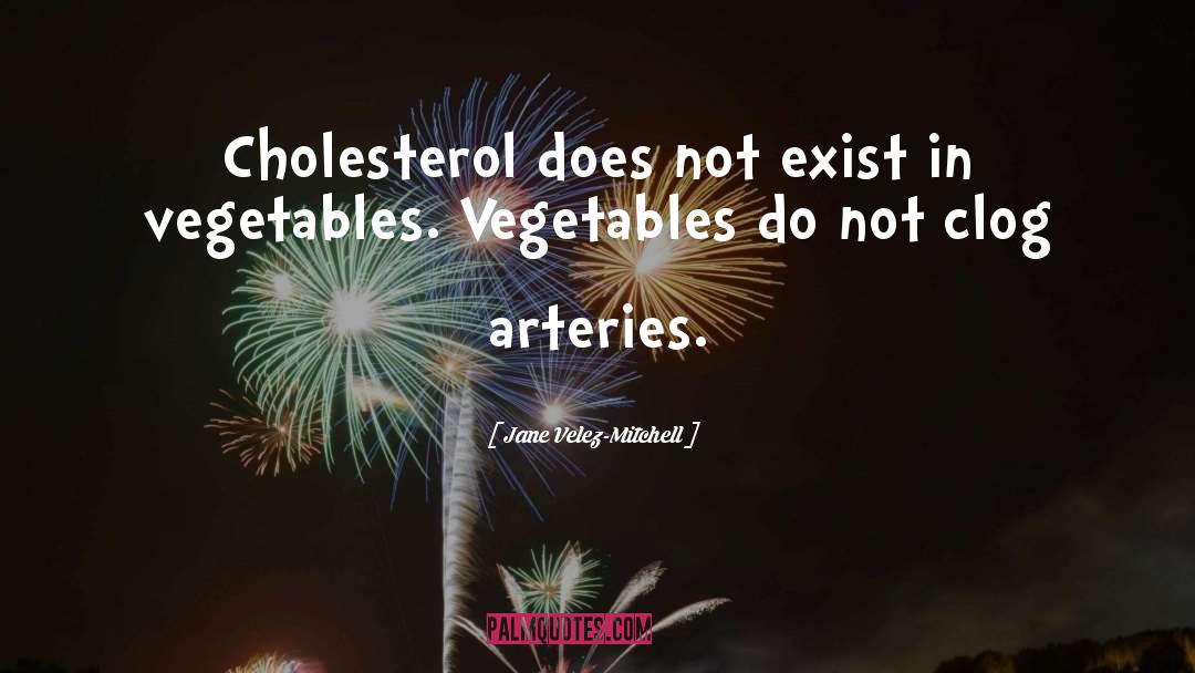 Cholesterol quotes by Jane Velez-Mitchell