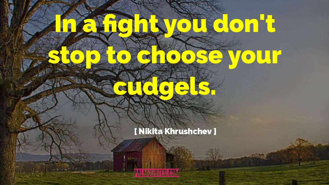 Choose A Path quotes by Nikita Khrushchev