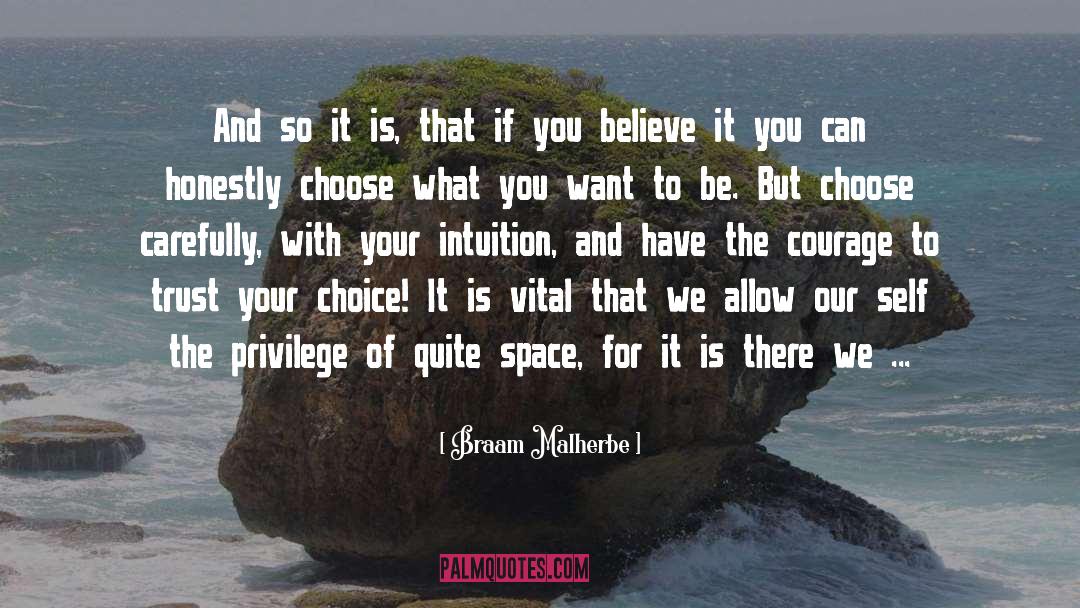 Choose Carefully quotes by Braam Malherbe