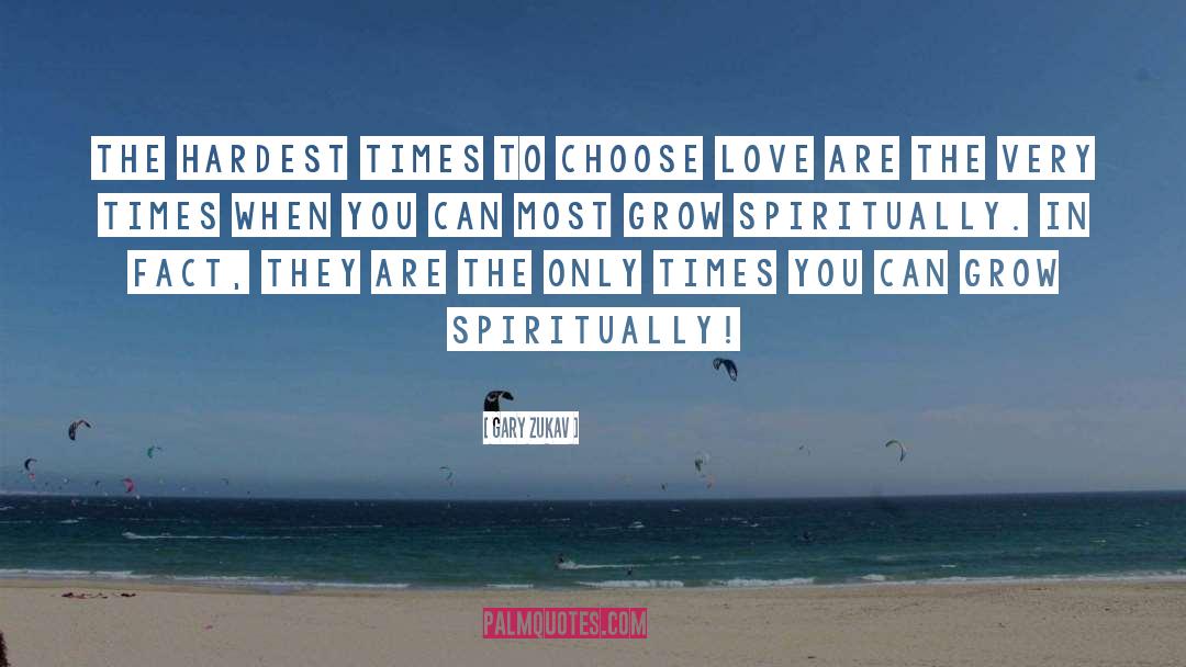 Choose Love quotes by Gary Zukav