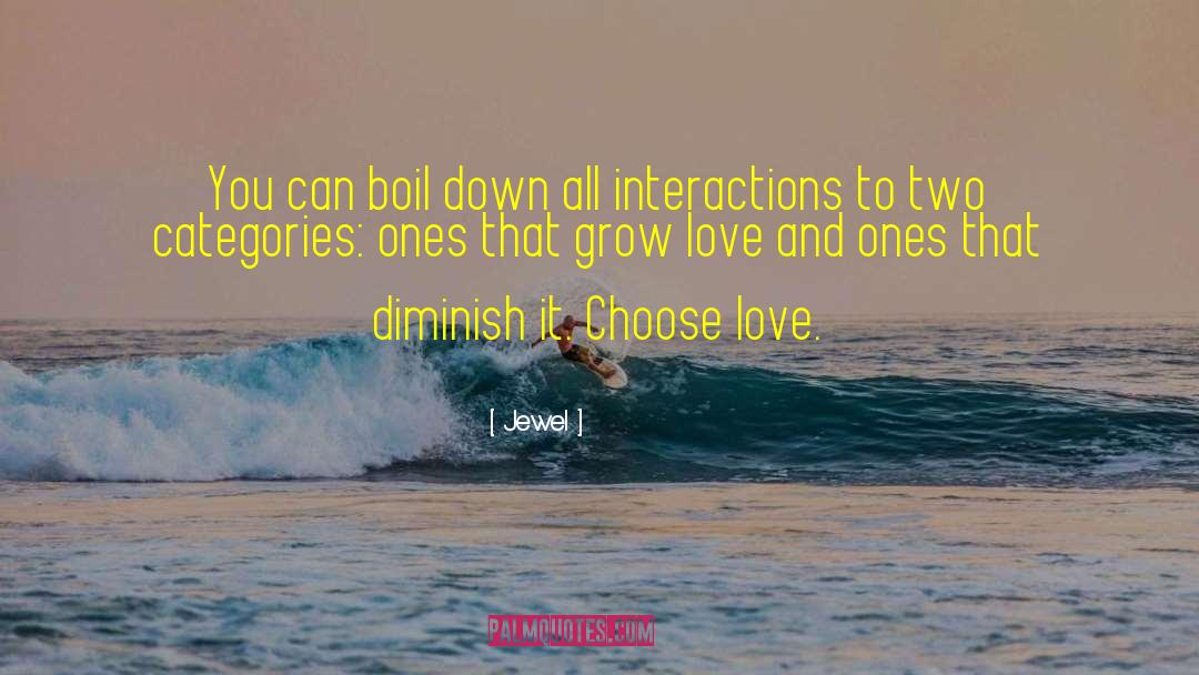 Choose Love quotes by Jewel