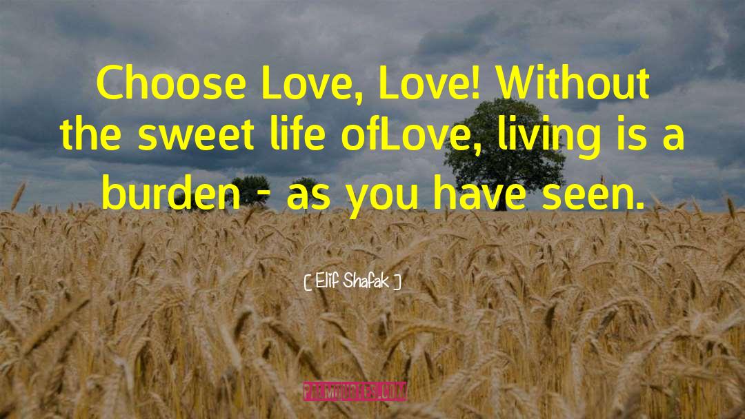 Choose Love quotes by Elif Shafak