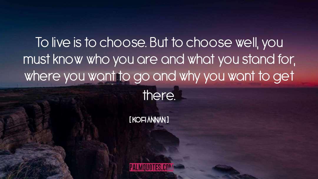 Choose Well quotes by Kofi Annan