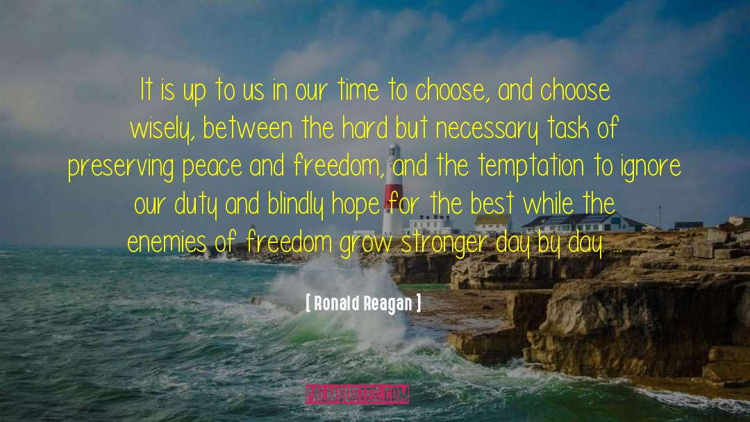 Choose Wisely quotes by Ronald Reagan