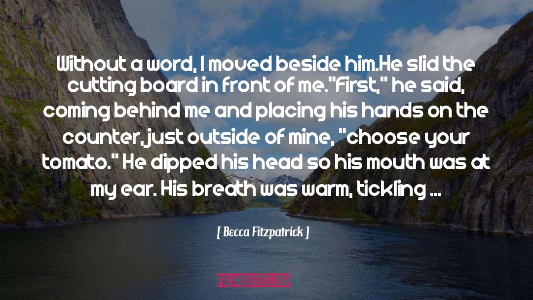 Choose Your Battle quotes by Becca Fitzpatrick