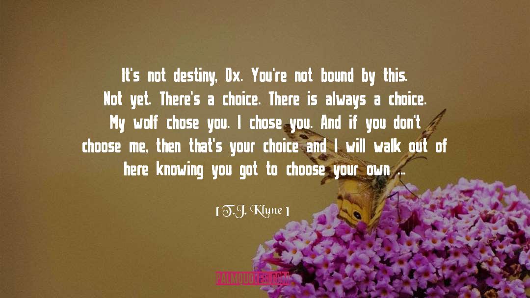 Choose Your Destination quotes by T.J. Klune