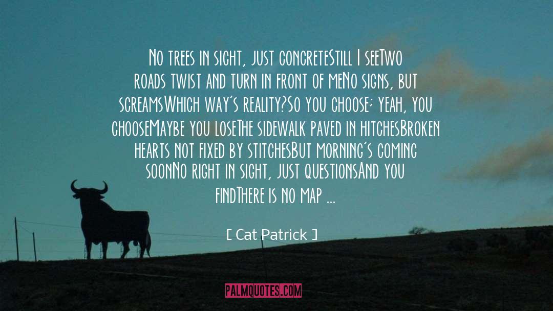 Choose Your Path quotes by Cat Patrick