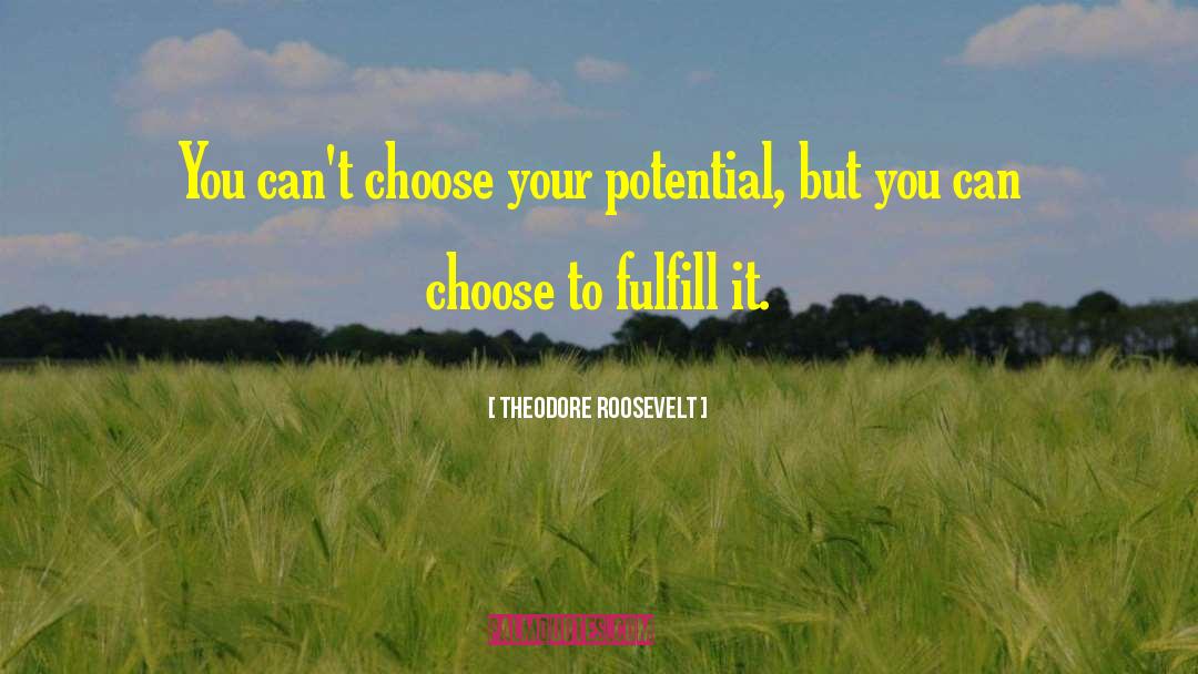 Choose Your Path quotes by Theodore Roosevelt