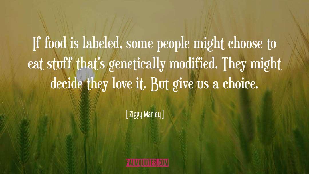 Choosers Choice quotes by Ziggy Marley