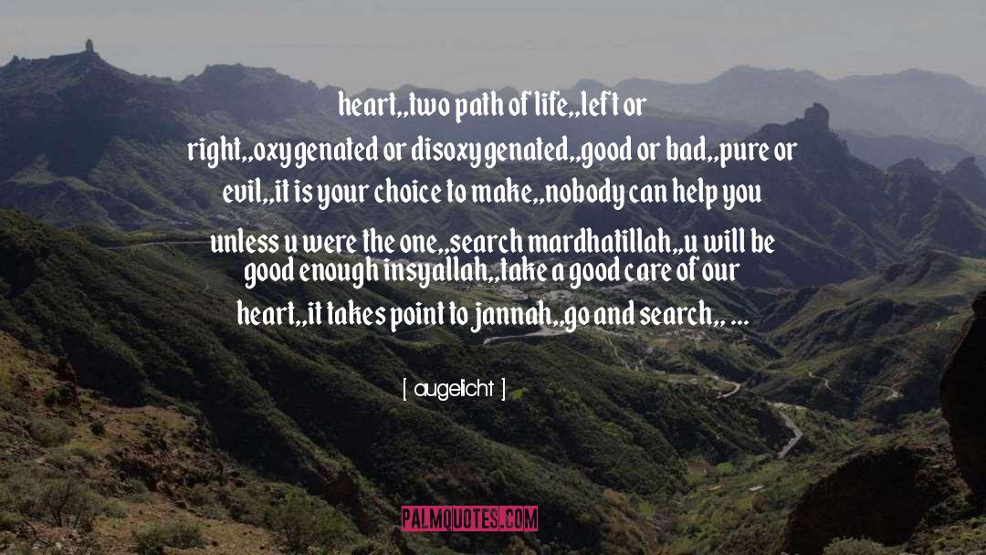 Choosing A Path quotes by Augelicht