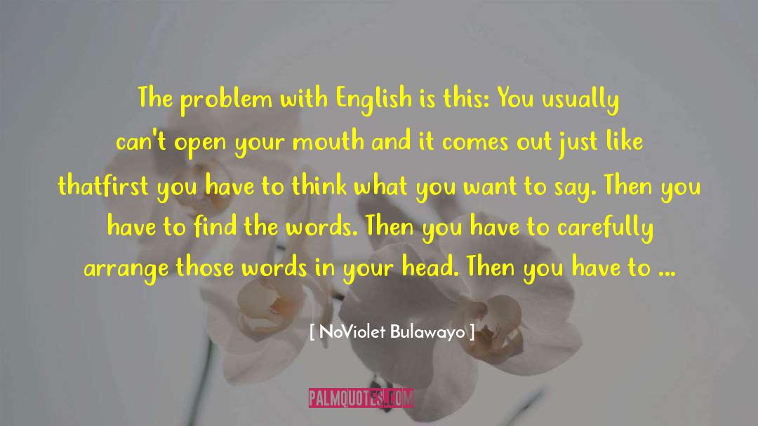 Choosing Words Carefully quotes by NoViolet Bulawayo