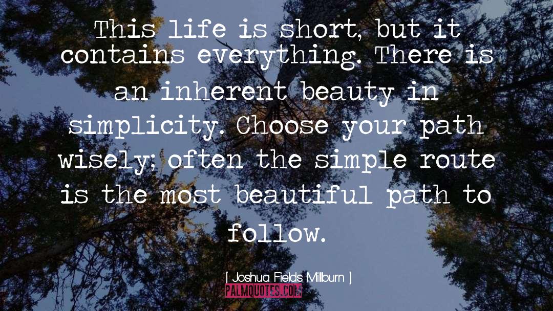 Choosing Your Path In Life quotes by Joshua Fields Millburn