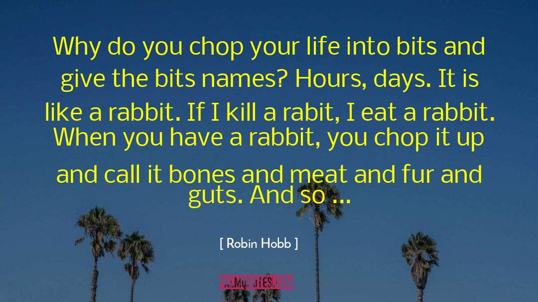 Chop quotes by Robin Hobb