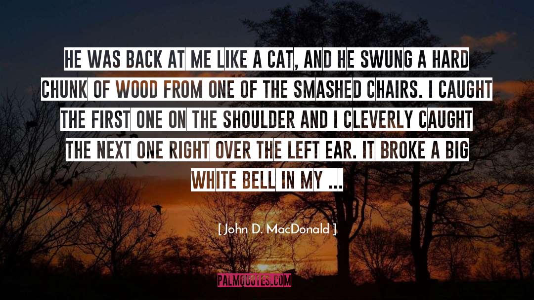 Chopping Wood quotes by John D. MacDonald