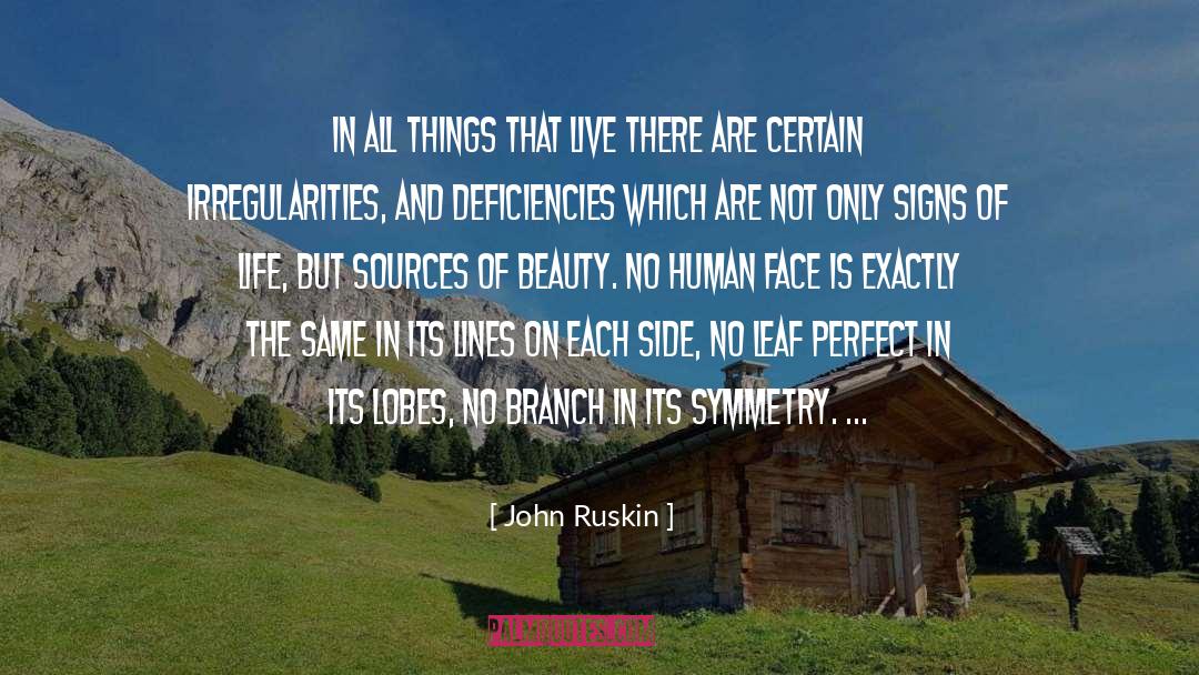 Chordates Symmetry quotes by John Ruskin