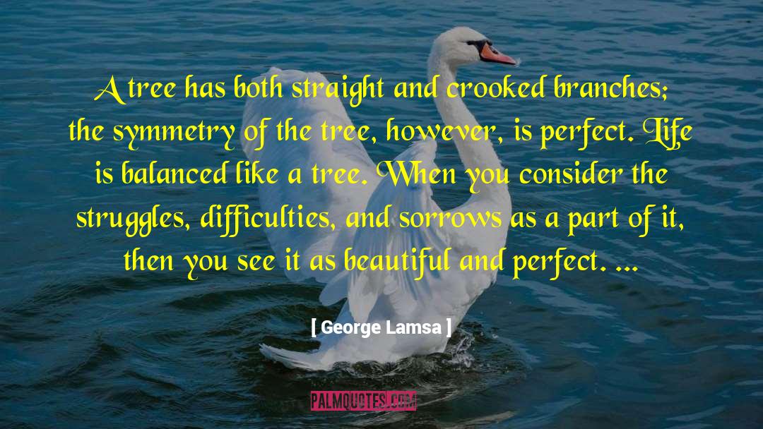 Chordates Symmetry quotes by George Lamsa