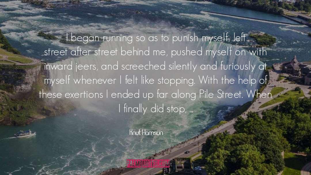 Chose quotes by Knut Hamsun