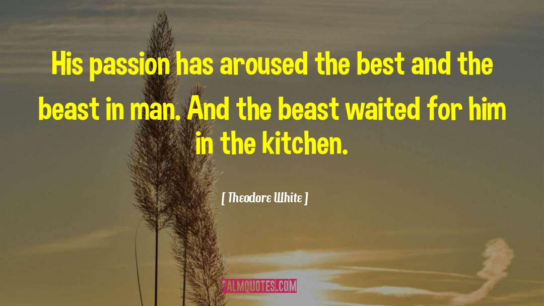 Chosen Beast quotes by Theodore White