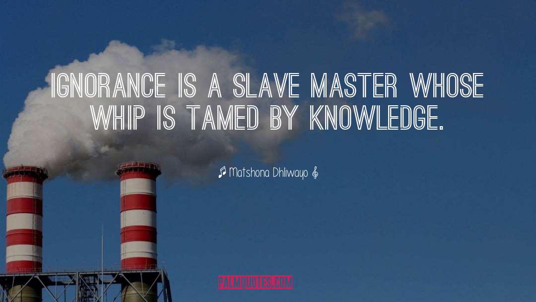 Chosen Ignorance quotes by Matshona Dhliwayo