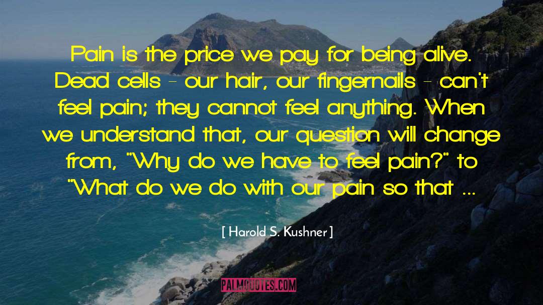 Christ S Suffering quotes by Harold S. Kushner