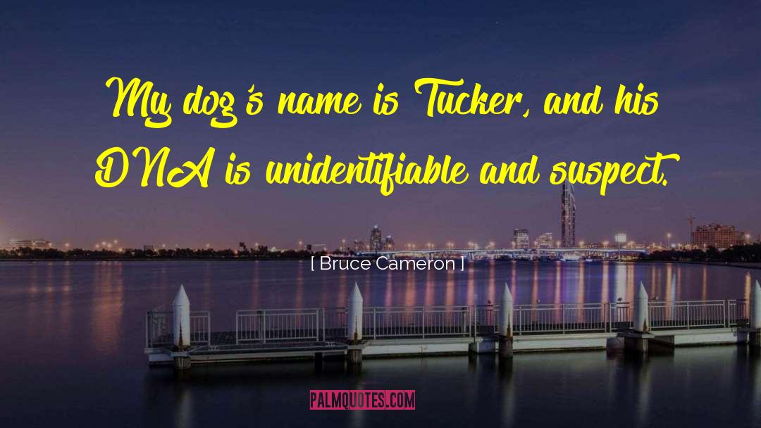 Christanna Tucker quotes by Bruce Cameron