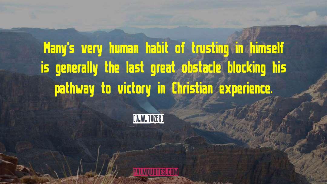 Christian Experience quotes by A.W. Tozer