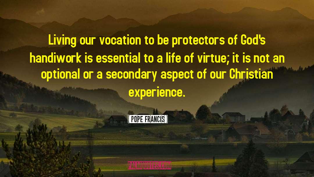 Christian Experience quotes by Pope Francis