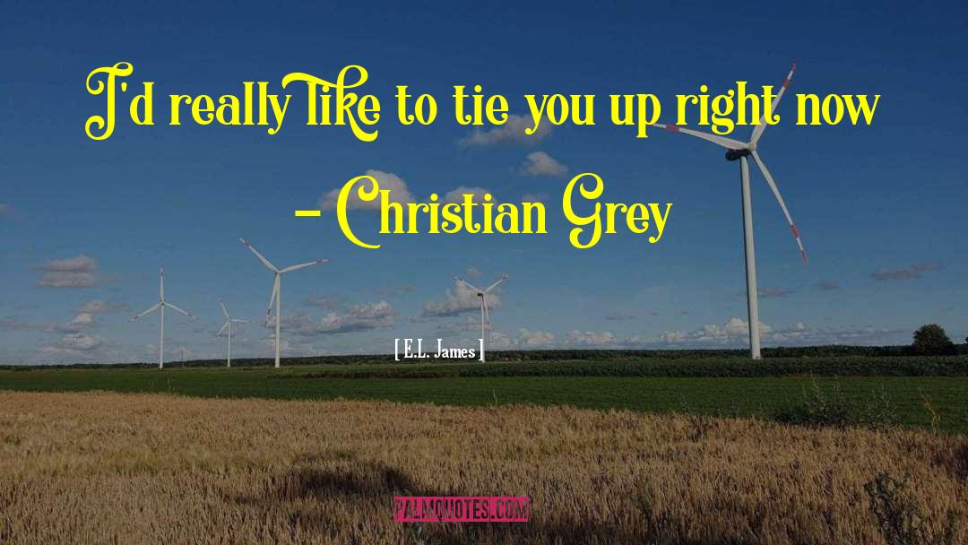 Christian Grey quotes by E.L. James