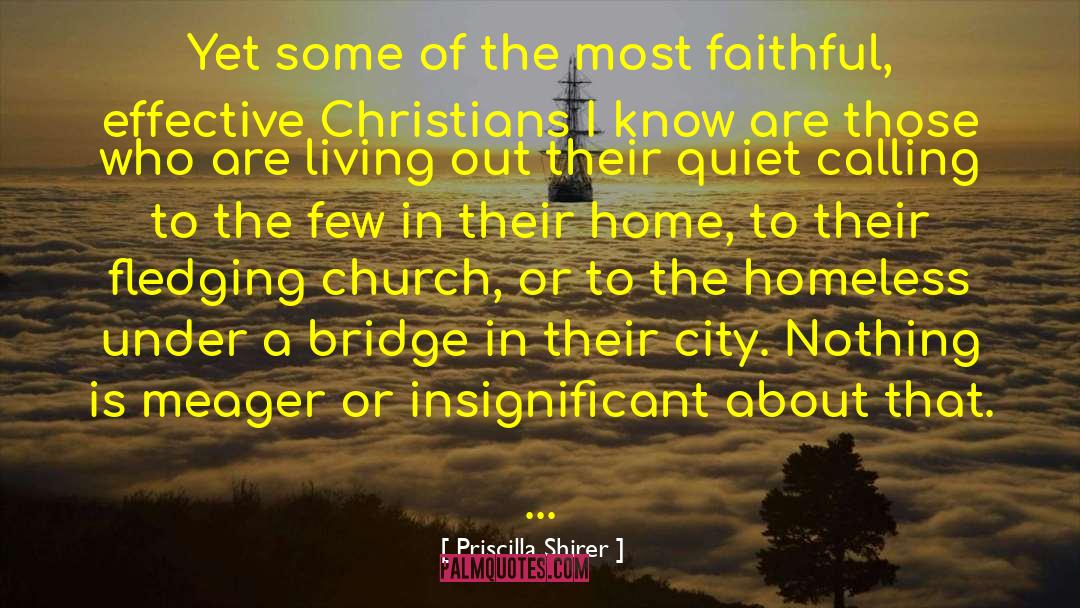 Christian Home quotes by Priscilla Shirer