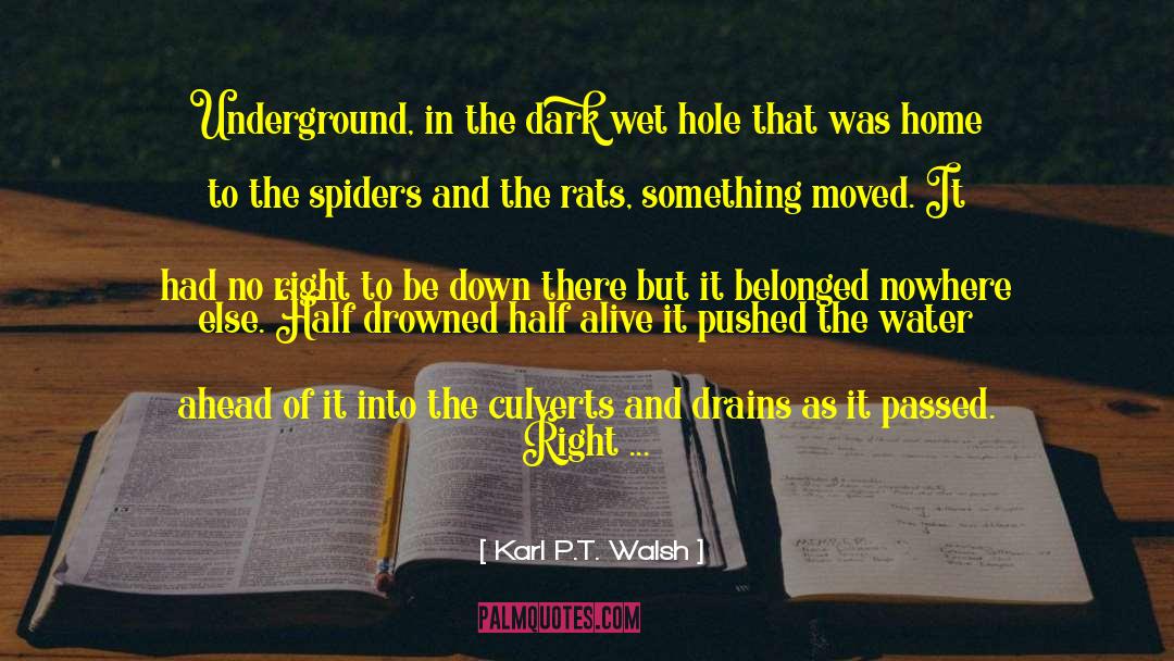 Christian Horror And Thriller quotes by Karl P.T. Walsh