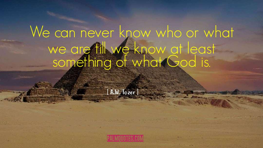 Christian Inspirational quotes by A.W. Tozer