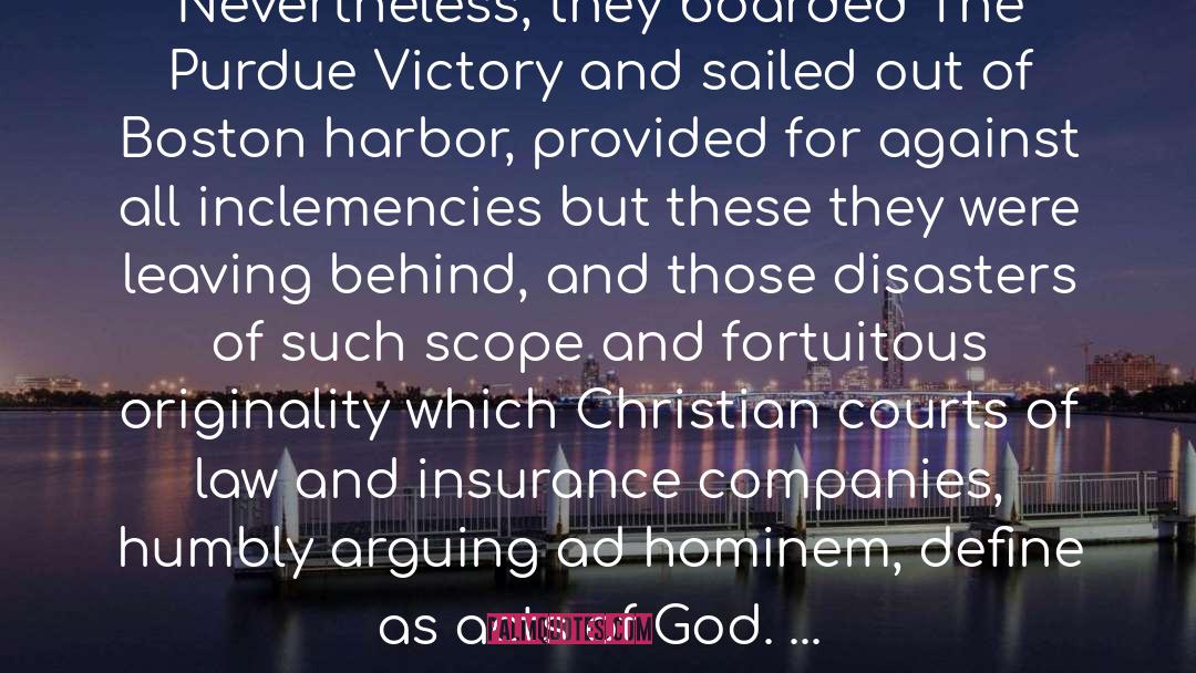Christian Maturity quotes by William Gaddis