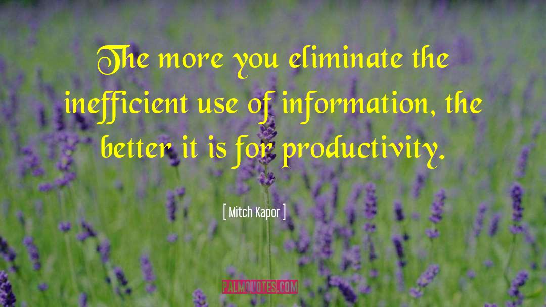 Christian Productivity quotes by Mitch Kapor