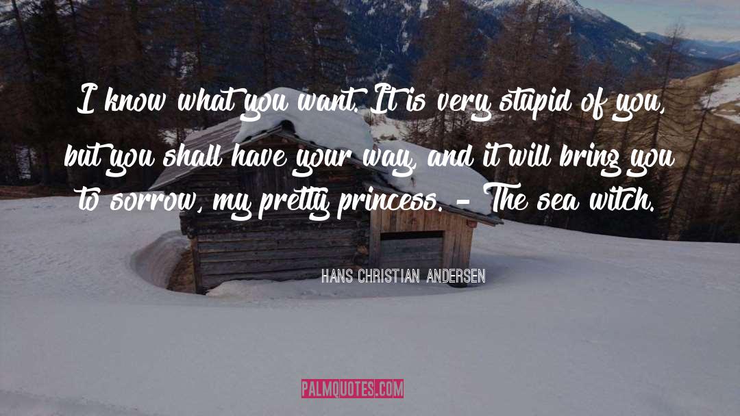 Christian Sexuality quotes by Hans Christian Andersen