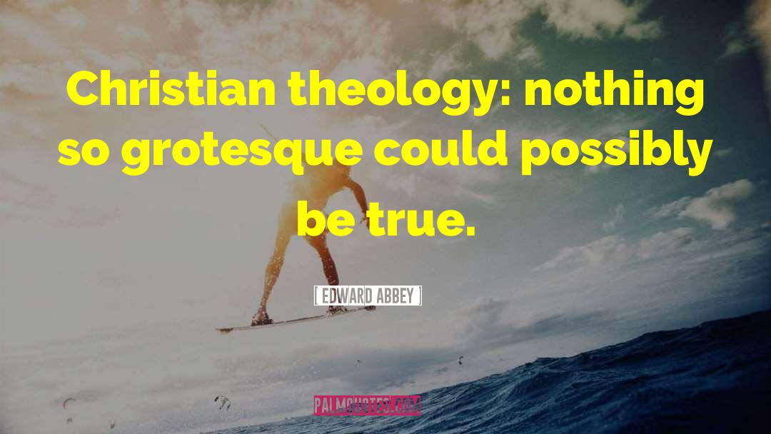 Christian Theology quotes by Edward Abbey