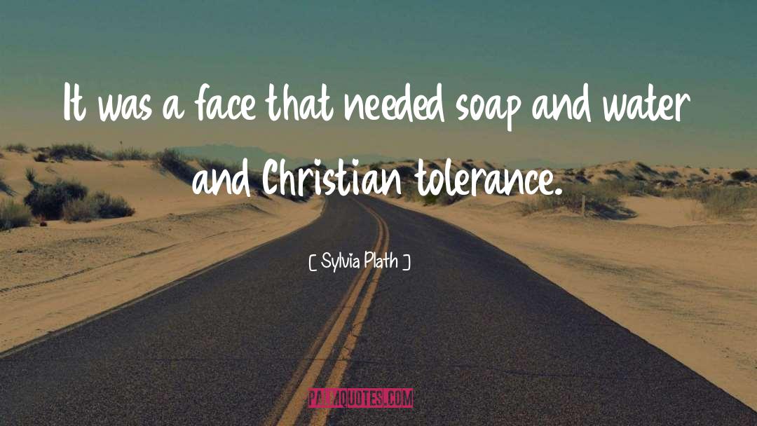 Christian Tolerance quotes by Sylvia Plath